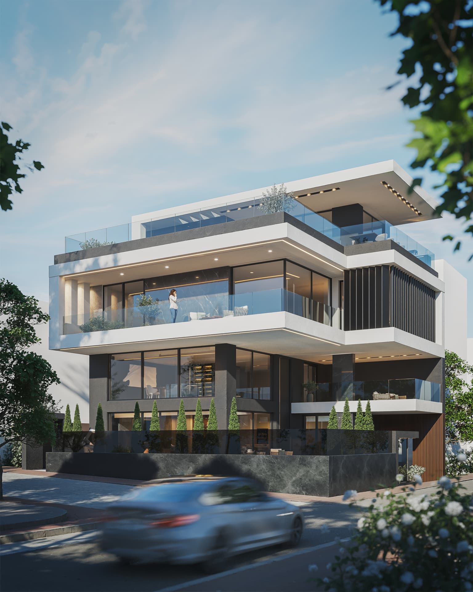 Exterior — cantilevered planes & lap pool